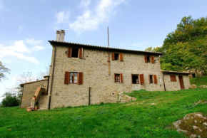 A stay surrounded by greenery - Agriturismo La Piaggia - app 2 bathrooms Vivo D'orcia